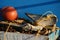 Crete / detail of a fisher boat