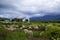 Crete. A flock of sheep grazing in a meadow.