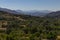 Crete Mountain and tree landscape background. Greece