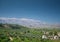 Crete olive tree fields