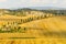 Crete senesi, characteristic landscape in Val d\'Orcia