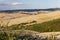 Crete Senesi Clay Hills