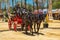 Crew harnessed by Andalusian horses of bay color on the Horse Feria Feria de Caballo , Jerez de la Frontera, Andalusia, Spain, M