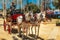 Crew harnessed by Andalusian horses of light gray color on the Horse Feria Feria de Caballo , Jerez de la Frontera, Andalusia, S