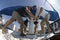 Crew Members Operating Windlass On Yacht