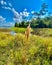 CREW wetlands flooding Bonita Springs Florida