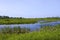 Crex Meadows Marshland  829032