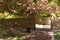 Crichton church entrance gate and tree in pink bloom