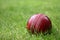 Cricket Ball