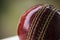 Cricket ball