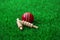 Cricket ball and bails on green grass pitch
