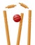 Cricket ball caught in the wicket vector illustration
