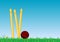Cricket Ball In The Grass 2b