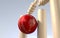 Cricket Ball Hitting Wickets