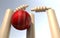 Cricket Ball Hitting Wickets