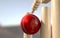 Cricket Ball Hitting Wickets