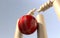 Cricket Ball Hitting Wickets