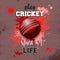 Cricket ball icon. Play cricket. Sport is life