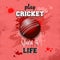 Cricket ball icon. Play cricket. Sport is life