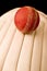 Cricket Ball and pads