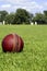 Cricket Ball & Players