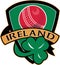 Cricket ball shamrock shield Ireland