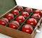 Cricket Balls In Display Box