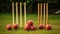 cricket balls with wicket generated by AI tool