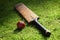 Cricket bat and ball