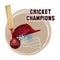 Cricket champions design