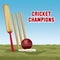 Cricket champions design