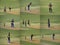 Cricket Collage.