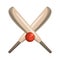 Cricket equiment elements icon cartoon