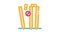 Cricket Equipment Icon Animation