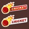 Cricket flame sticker banner label tag