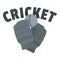Cricket gloves logo, flat style