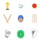 Cricket icons set flat