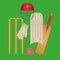 Cricket Icons Set Vector. Cricketer Accessories. Bat, Gloves, Helmet, Ball. Isolated Flat Cartoon Illustration