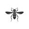 Cricket Insect icon