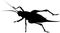 Cricket insect silhouette