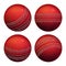 Cricket Leather Ball Sportive Equipment Set Vector