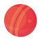 cricket leather ball sports