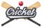 Cricket leather ball and wooden bats