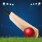 Cricket match, cricket championship,
