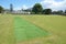 Cricket pitch