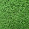 Cricket Pitch Texture Close up. Green Grass. Indoor Cricket Turf texture