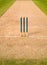 Cricket Pitch Wicket Stumps