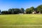 Cricket Pitch Wickets Game