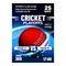 Cricket Sport Announcement Flyer Banner Vector