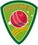 Cricket sport ball shield